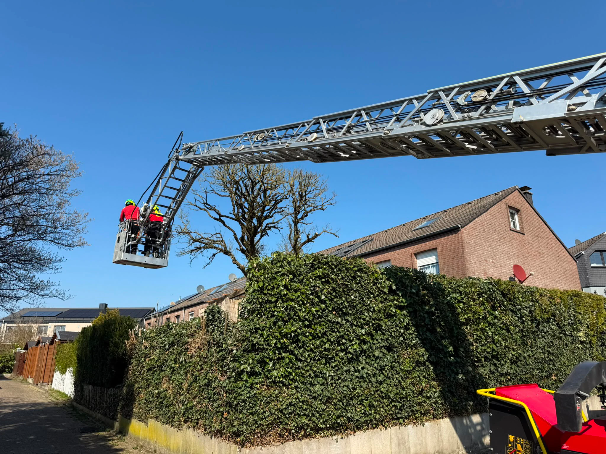Baumdienst-Einsatz im Wohngebiet mit Hubsteiger