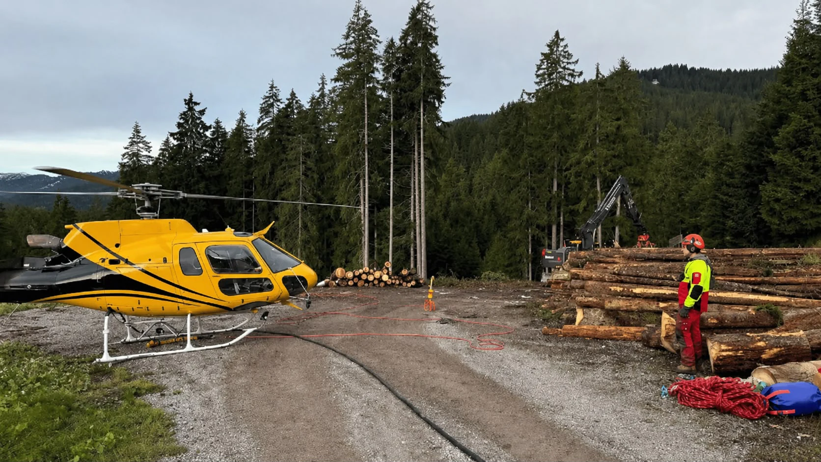Baumdienst im Einsatz – JS Dienstleistungen GmbH