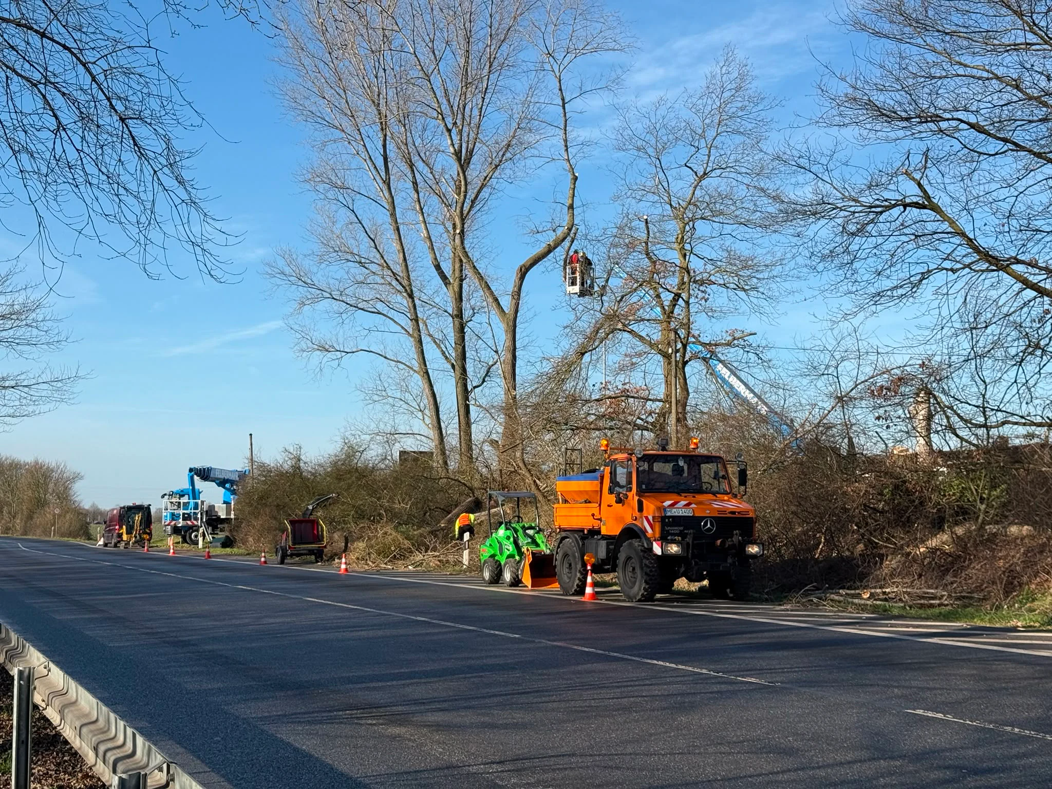 Verkehrssicherungsschnitt
